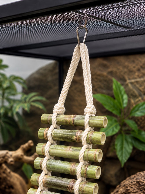 Hanging Bamboo Ladder Bridge for Reptiles – Terrarium Climbing Decor