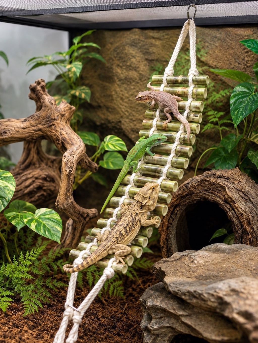 Hanging Bamboo Ladder Bridge for Reptiles – Terrarium Climbing Decor